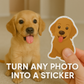 Custom Stickers | Turn Any Photo Into A Sticker