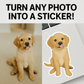 Custom Stickers | Turn Any Photo Into A Sticker